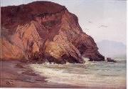 Henry Otto Wix Rocky Coast with Birds oil painting
